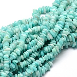 Amazonite Natural Amazonite Chip Beads Strands, 5~14x4~10mm, Hole: 1mm, about 15.5 inch~16.1 inch
