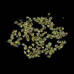 Перидот Натуральный оливин чип бусины, нет отверстий / незавершенного, 2~12x2~10x1~3 мм, Около 11200 шт / 1000 г