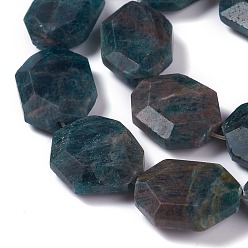 Apatite Faceted Natural Apatite Beads Strands, Oval, 23~24x18~19x7mm, Hole: 0.8mm, about 16pcs/strand, 15.16 inch(38.5cm)