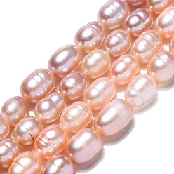 Light Salmon Natural Cultured Freshwater Pearl Beads Strands, Rice, Light Salmon, 6.5~12.5x6~7mm, Hole: 0.7mm, about 42~43pcs/strand, 13.98 inch~14.37(35.5~36.5cm)