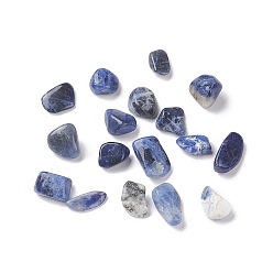 Sodalite Natural Sodalite Beads, No Hole/Undrilled, Chip, 5~13.5x4~6x3.5~4.5mm
