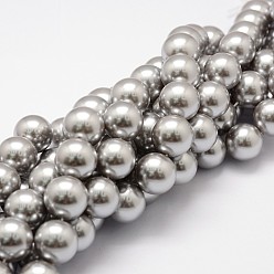Gray Shell Pearl Beads Strands, Grade A, Round, Gray, 10mm, Hole: 1mm, about 38pcs/strand, 15.5 inch