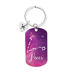 Pisces Twelve Constellations Metal Keychains, Oval Rectangle, Pisces, 8cm