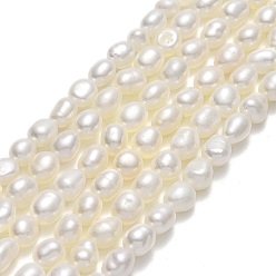 Linen Natural Cultured Freshwater Pearl Beads Strands, Two Sides Polished, Linen, 5~5.5x3.8~4.2mm, Hole: 0.6mm, about 67~68pcs/strand, 14.57''(37cm)