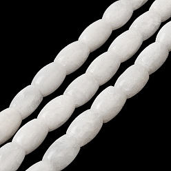Белый Природных окрашенных нитей бисера нефрита, овальные, белые, 11.5~12x7.5~8 мм, отверстие : 0.8 мм, около 29~32 шт / нитка, 12.99''~15.16'' (33~38.5 см)
