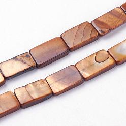 Brun Saddle Eau douce naturelle de coquillage perles brins, teint, rectangle, selle marron, 13~14x7.5~10x3mm, Trou: 0.5mm, Environ 30 pcs/chapelet, 15.9 pouces ~ 16 pouces (40.4~40.7 cm)