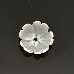 Old Lace Flower Natural White Shell Beads, Mother of Pearl Shell Beads, Old Lace, 10x3mm, Hole: 0.5mm