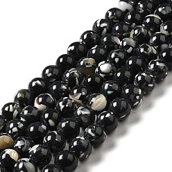 Black Synthetic Turquoise and Sea Shell Assembled Beads Strands, Dyed, Round, Black, 12mm, Hole: 1.4mm, about 33pcs/strand, 15.55''(39.5cm)