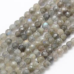 Labradorite Natural Labradorite Beads Strands, Grade A+, Faceted, Round, 4mm, Hole: 1mm, about 92pcs/strand, 15.1 inch(38.5cm)