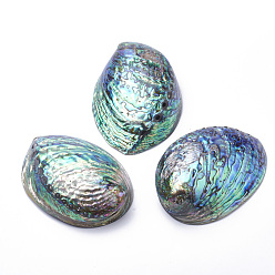 Paua Shell Natural Paua Shell Beads, 100~120x80~90x30~40mm, Hole: 2~6mm