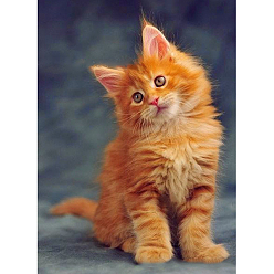Naranja Oscura Kits de pintura de diamantes de gato diy, incluyendo lienzo, diamantes de imitación de resina, bolígrafo adhesivo de diamante, plato de bandeja y arcilla de cola, gato, naranja oscuro, 400x300 mm