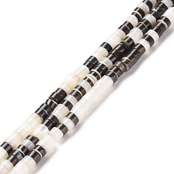 Noir Naturelles trochides coquille brins de perles, teint, plat rond, noir, 4x2~2.5mm, Trou: 0.8mm, Environ 171~172 pcs/chapelet, 15.55 pouce (39.5 cm)