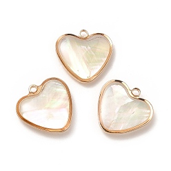 Corazón Colgantes de esmalte de bronce, cáscara de imitación, real 14 k chapado en oro, sin plomo y cadmio, corazón, 15x15.5x3.5~4.5 mm, agujero: 1.5 mm