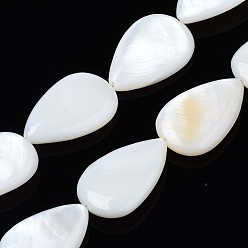Ivoire Naturelles coquillage perles brins, goutte , blanc crème, 21~22x13~14x3~4mm, Trou: 1.5mm, Environ 17 pcs/chapelet, 14.06 pouce (35.7 cm)