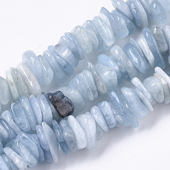 Aquamarine Natural Aquamarine Beads Strands, Chip, 8~20x6~10x1.5~5mm, Hole: 1mm, about 160~165pcs/strand, 15.7 inch(40cm)