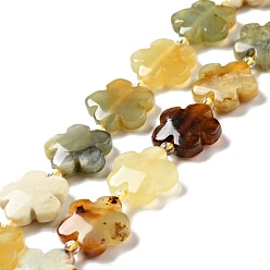 Xiuyan Jade Naturelles perles de jade Xiuyan brins, Flower 5 pétales, 14~15x14~15x6~7mm, Trou: 1.2mm, Environ 27 pcs/chapelet, 16.14'' (41~44.5 cm)