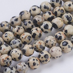 Dalmatian Jasper Natural Dalmation Jasper Beads Strands, Round, 6mm, Hole: 1mm, about 29pcs/strand, 7.6 inch