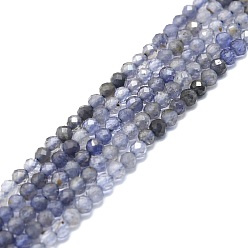 Iolite Brins de perles d'iolite / cordiérite / dichroite naturels, facette, ronde, 4mm, Trou: 0.8mm, Environ 108 pcs/chapelet, 15.16''~15.55'' (38.5~39.5 cm)