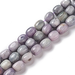 Kunzite Kunzite naturelles brins de perles, tambour, 12~14x9~11x9~11mm, Trou: 1mm, Environ 30~32 pcs/chapelet, 15.35''~15.75'' (39~40 cm)