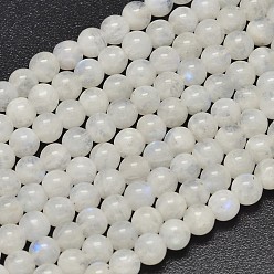 Rainbow Moonstone Natural Rainbow Moonstone Beads Strands, Round, 5.5~6mm, Hole: 1mm, about 67pcs/strand, 15.7 inch(40cm)