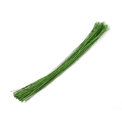 Lime Vert Cravates en papier, avec noyau de fer, cravates multifonctionnelles pour plantes torsadées, pour plantes jardin bureau et maison, lime green, 360x0.6mm