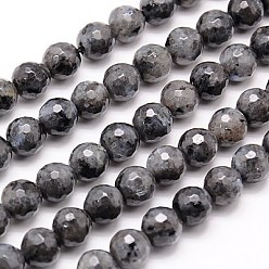 Larvikite Natural Larvikite Beads Strands, Faceted, Round, Gray, 8mm, Hole: 1mm, about 46pcs/strand, 15.75 inch