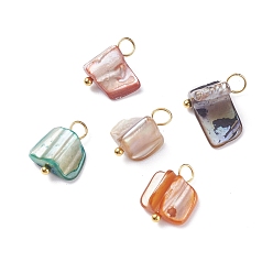 Mixed Color Natural Dyed Shell Charms, with Golden Tone Brass Loops, Irregular Shapes, Mixed Color, 13~14x7~13x5~10.5mm, Hole: 3~3.5mm