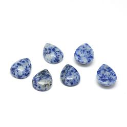 Jaspe Avec Point Bleu Cabochons de jaspe tache bleue naturelle, larme, 25x18x6mm