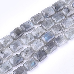 Labradorite Chapelets de perles labradorite naturelle , rectangle, 17.5~18.5x13~13.5x6~7mm, Trou: 1mm, Environ 22 pcs/chapelet, 15.5 pouce
