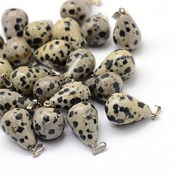 Jaspe Dalmate Pendentifs en jaspe dalmatien naturel en forme de larme, avec les accessoires en laiton de tonalité de platine, 21~24x12~14mm, Trou: 2x7mm