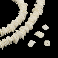 Blanco Chips de hebras de cuentas de concha natural teñidas, fragmentos de concha, blanco, 2~6x5~16x2~5 mm, agujero: 1 mm, sobre 168 unidades / cadena, 16.1 pulgada