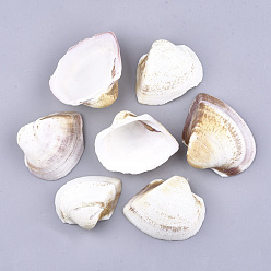 Creamy White Natural Trochid Shell/Trochus Shell Beads, Undrilled/No Hole Beads, Creamy White, 44~60x53~70x18~24mm