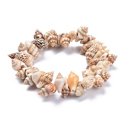 Shell Unisex Natural Spiral Shell Stretch Bracelets, Beaded Bracelets, Conch, 2 inch(5.05cm), Beads: 11.5~14.5x6.5~9mm