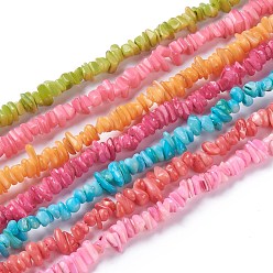 Color mezclado Cuentas de concha de perla natural hebras, chip, teñido, color mezclado, 6~16x4~8x1~7 mm, agujero: 1 mm, sobre 97~157 unidades / cadena, 15.75 pulgada (40 cm)