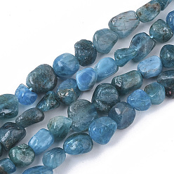 Apatite Perles naturelles apatite brins, nuggets, pierre tombée, 5~11x3~8x3~6mm, Trou: 0.8mm, sur: 52~56 perle / Chapelet, 15.94 pouce (40.5 cm)