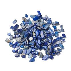 Lapis Lazuli Natural Lapis Lazuli Beads, No Hole/Undrilled, Nuggets, Tumbled Stone, Vase Filler Gems, 9~20x5~7x2~6mm, about 1428pcs/1000g