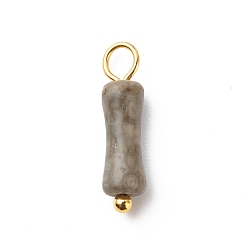 Fossil Natural Fossil Pendants, with Golden Tone Brass Findings, Bamboo-Shaped Charm, 17.5x5mm, Hole: 2.5~2.7mm