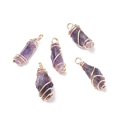 Real 18K Gold Plated Rough Natural Amethyst Pendants, with Copper Wire Wrapped, Nuggets, Real 18K Gold Plated, 21~30x9~12x7~10mm, Hole: 2.5~3.1mm
