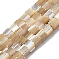 BurlyWood Natural Trochid Shell/Trochus Shell Beads Strands, Cube, BurlyWood, 3x3x3mm, Hole: 0.7mm, about 126~127pcs/strand, 15.75 inch(40cm)
