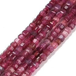 Tourmaline Natural Red Tourmaline Beads Strands, Faceted, Cube, 2.5x2.5x2.5mm, Hole: 0.5mm, about 186~188pcs/strand, 15.16~15.35 inch(38.5~39cm)