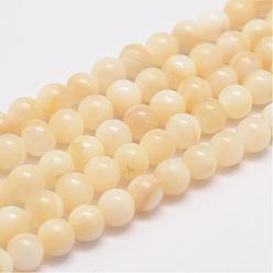 Wheat Natural Shell Bead Strands, Round, Wheat, 6mm, Hole: 1mm, about 63pcs/strand, 15.5 inch