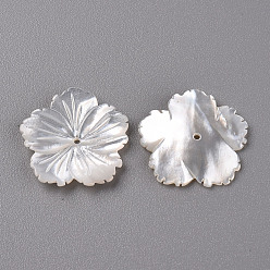 WhiteSmoke Natural White Shell Mother of Pearl Shell Beads, Carved, Sakura, WhiteSmoke, 20.5x21x2~3mm, Hole: 1mm