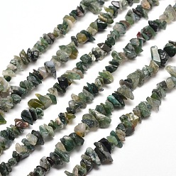 Moss Agate Natural Moss Agate Chip Bead Strands, 5~8x5~8mm, Hole: 1mm, about 31.5 inch