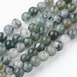 Agate Mousse Naturelles agate perles brins, ronde, 4~4.5mm, Trou: 1mm, Environ 85~90 pcs/chapelet, 14.9 pouce (38 cm)