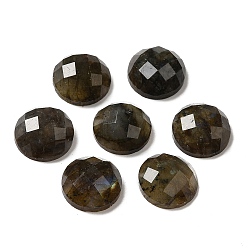 Labradorite Natural Labradorite Cabochons, Half Round, Faceted, 10x4.5mm