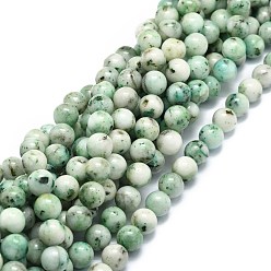 Chrysocolle Chapelets de perles chrysocolla naturelles , ronde, 6~6.5mm, Trou: 0.8mm, Environ 63 pcs/chapelet, 15.55'' (39.5 cm)