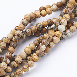 Picture Jasper Gemstone Beads Strands, Natural Picture Jasper, Round, about 6mm in diameter, hole: about 0.8mm, 15~16 inch