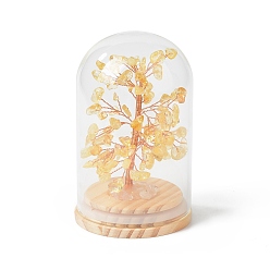 Yellow Quartz Natural Yellow Quartz Chips Money Tree in Dome Glass Bell Jars with Wood Base Display Decorations, for Home Office Decor Good Luck, 71x114mm
