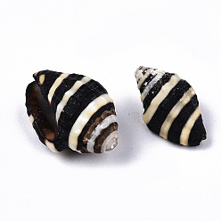 Negro Cuentas de concha de caracol naturales, perlas sin perforar / sin orificios, negro, 10.5~16x6~11.5x6~10 mm