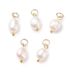 Golden Grade B Natural Cultured Freshwater Pearl Charms, with 304 Stainless Steel Jump Rings, Polished Rice, Golden, 13.5~15x7~7.5x5~6mm, Hole: 3.6mm